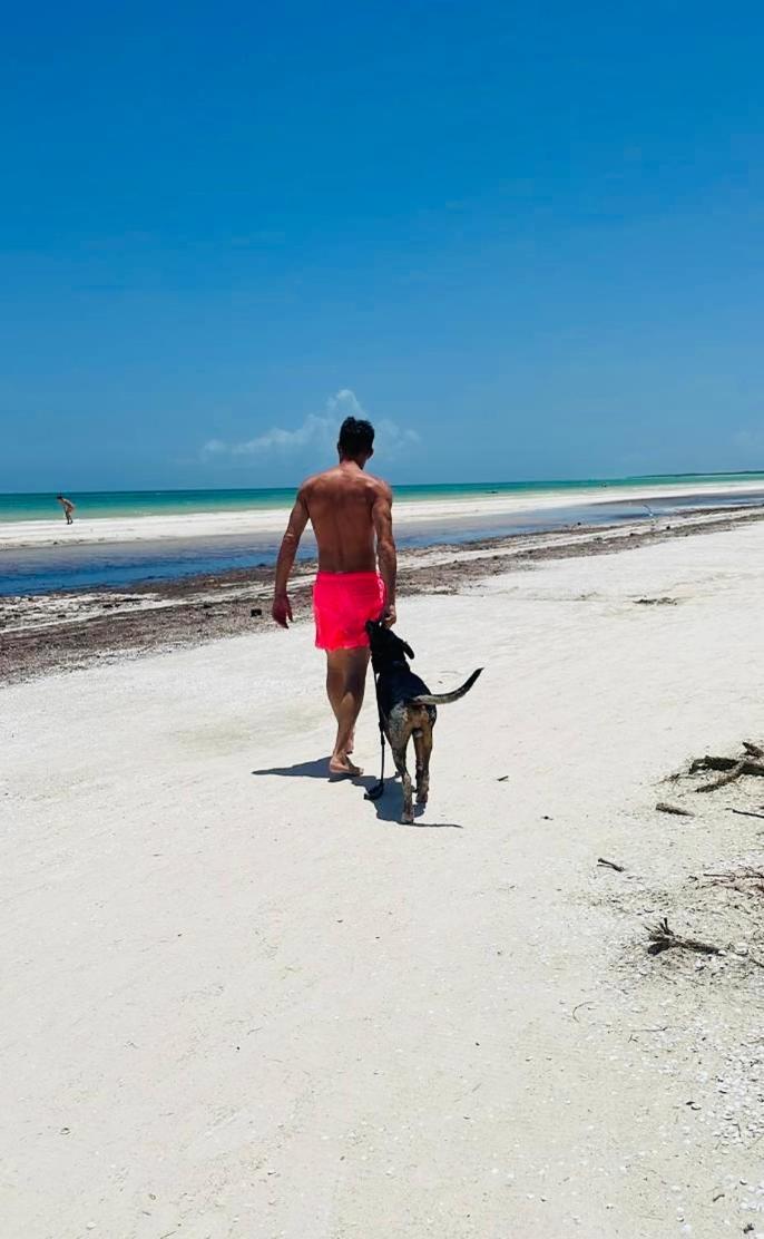 Pachamama Holbox - Hostel & Private Apartments Экстерьер фото