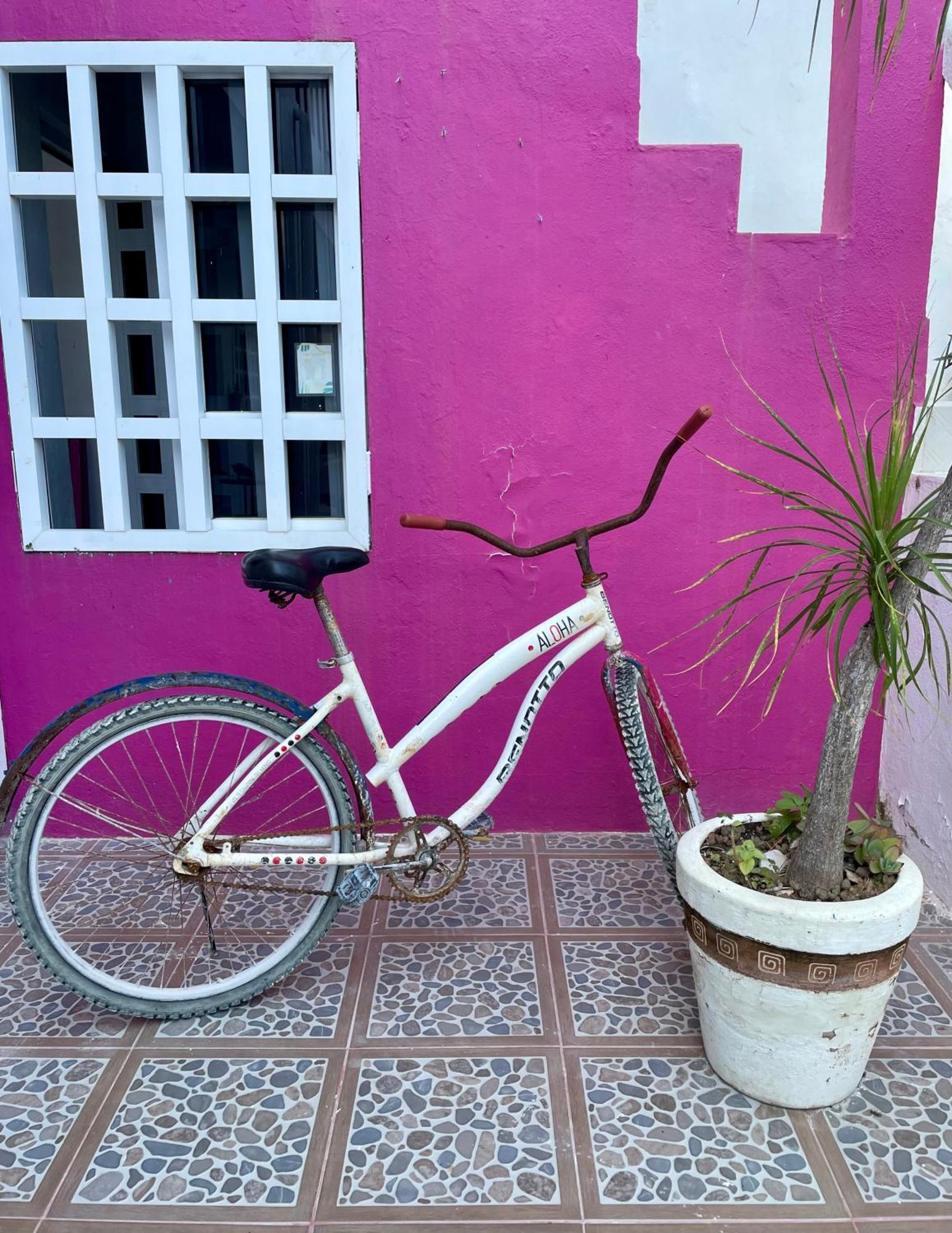 Pachamama Holbox - Hostel & Private Apartments Экстерьер фото