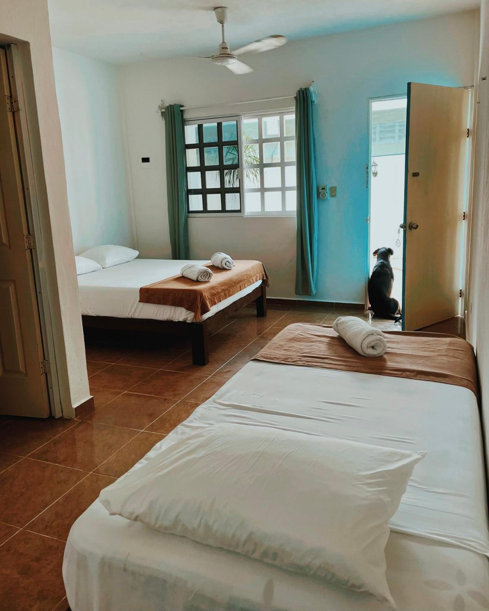 Pachamama Holbox - Hostel & Private Apartments Экстерьер фото